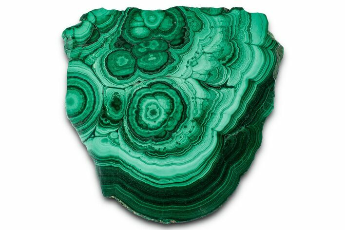 Flowery Polished Malachite Slab - DR Congo #350829